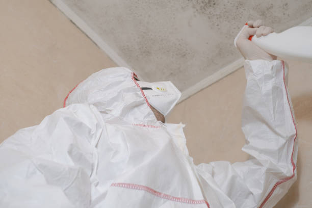 Best Industrial Mold Remediation in Concord, CA